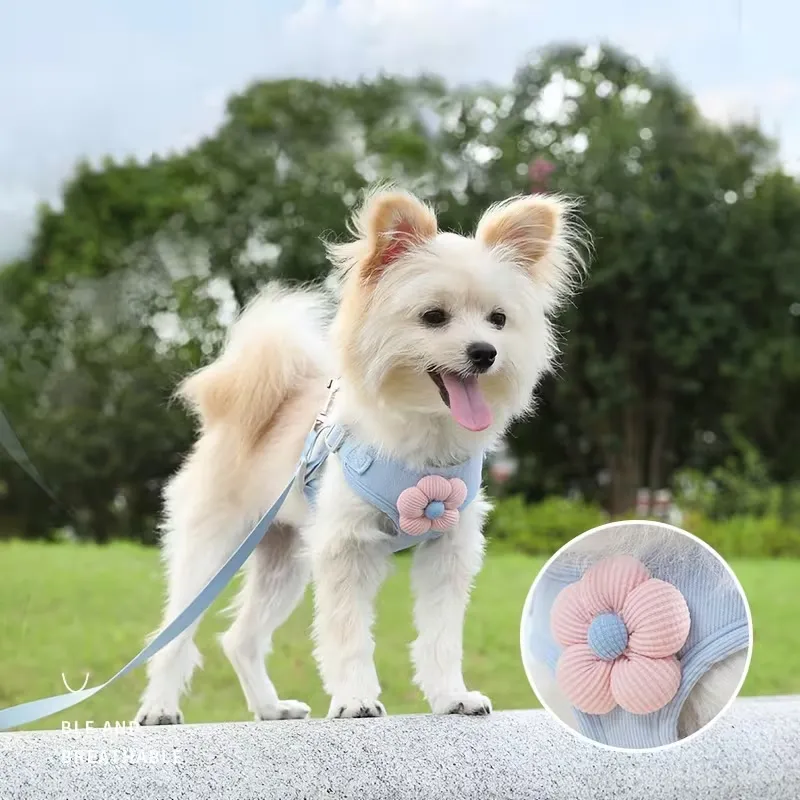 Flower Decor Pet Harness & Leash