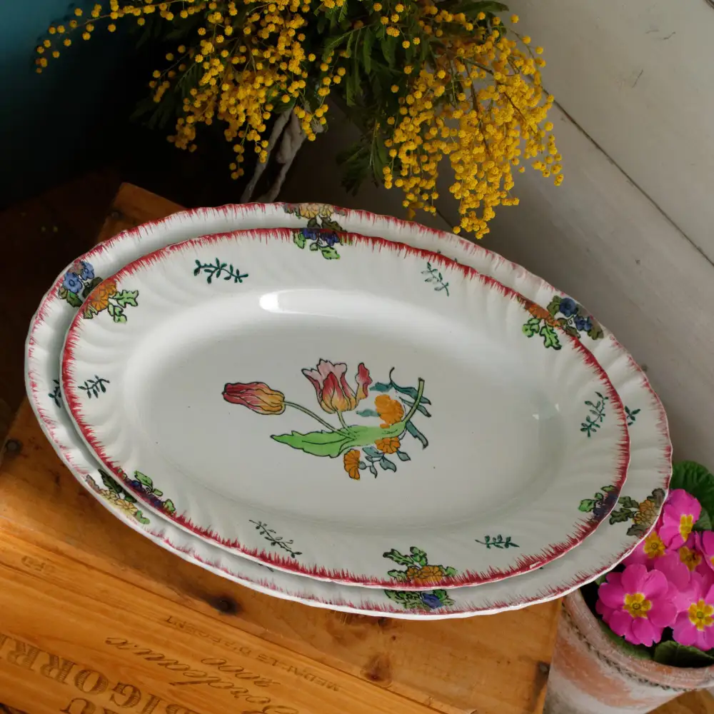 Transferware Hand-Painted Serving Platter