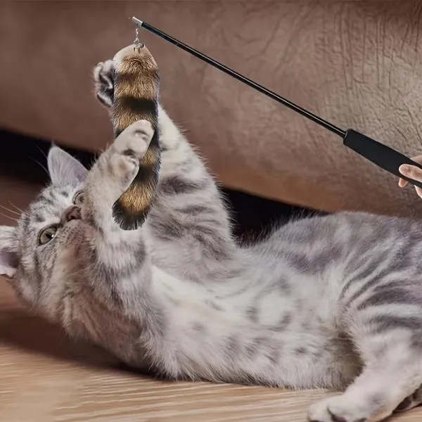 Cat Raccoon Tail Teaser Toy