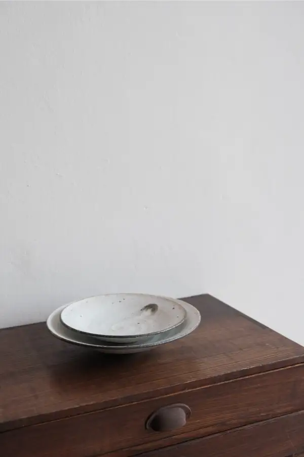 Shallow Plate Gray Texture