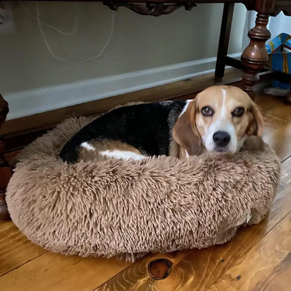Plush Round Dog Cuddler Bed