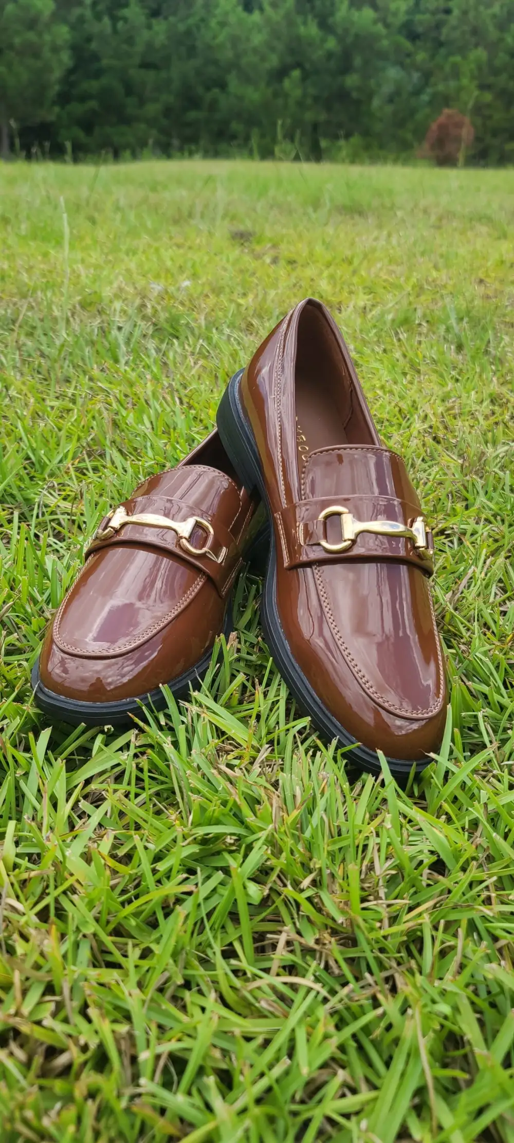 Neat Simple Loafers
