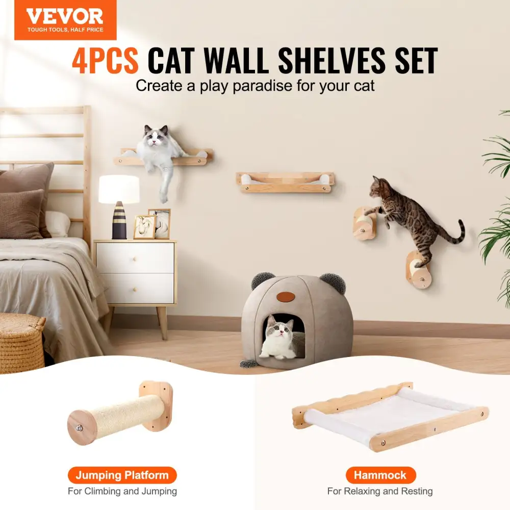 Wall Mounted Cat Shelves Everyday