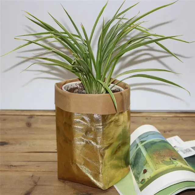 Washable Kraft Storage Bag
