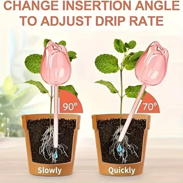 Tulip Plant Watering Stakes