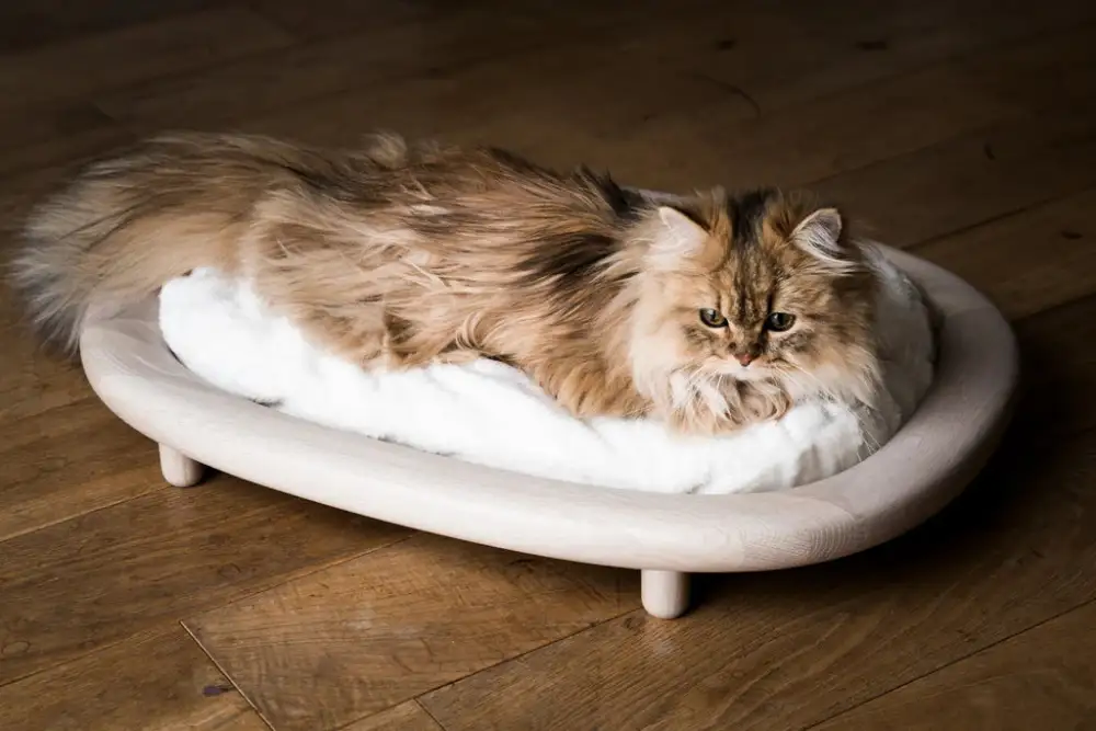 Wood Frame Cat Rest Bed