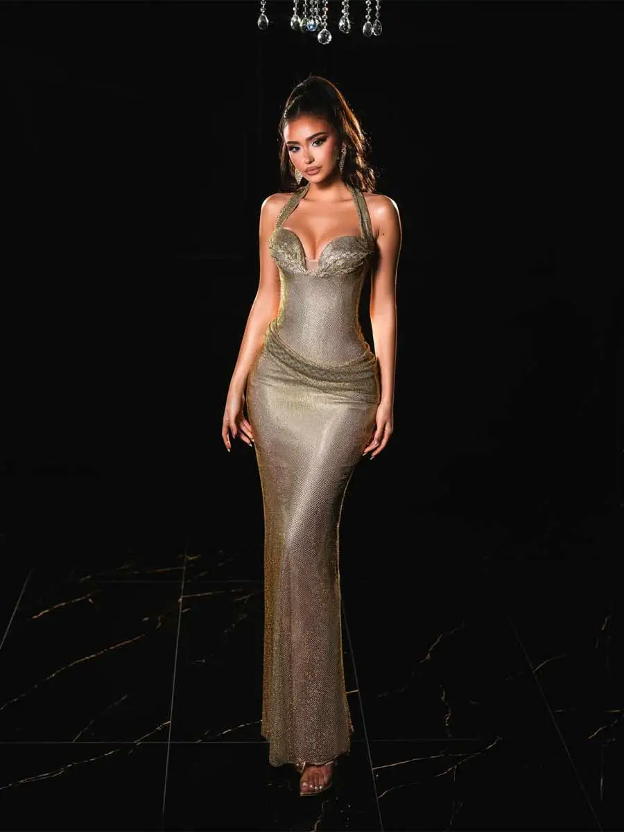 Cecelia Sexy Figure Hugging Maxi Dress
