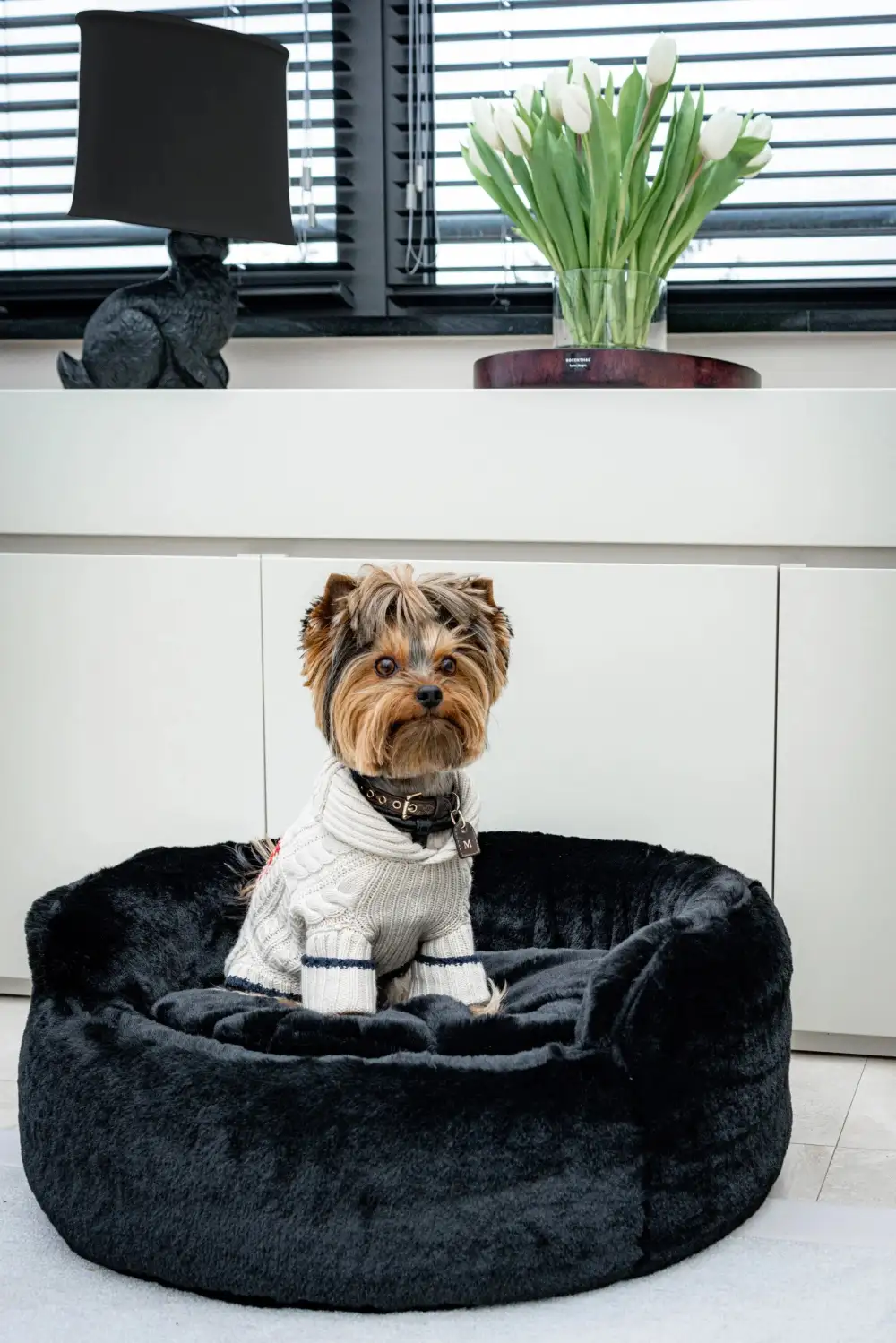 Pet Lounge Sofa