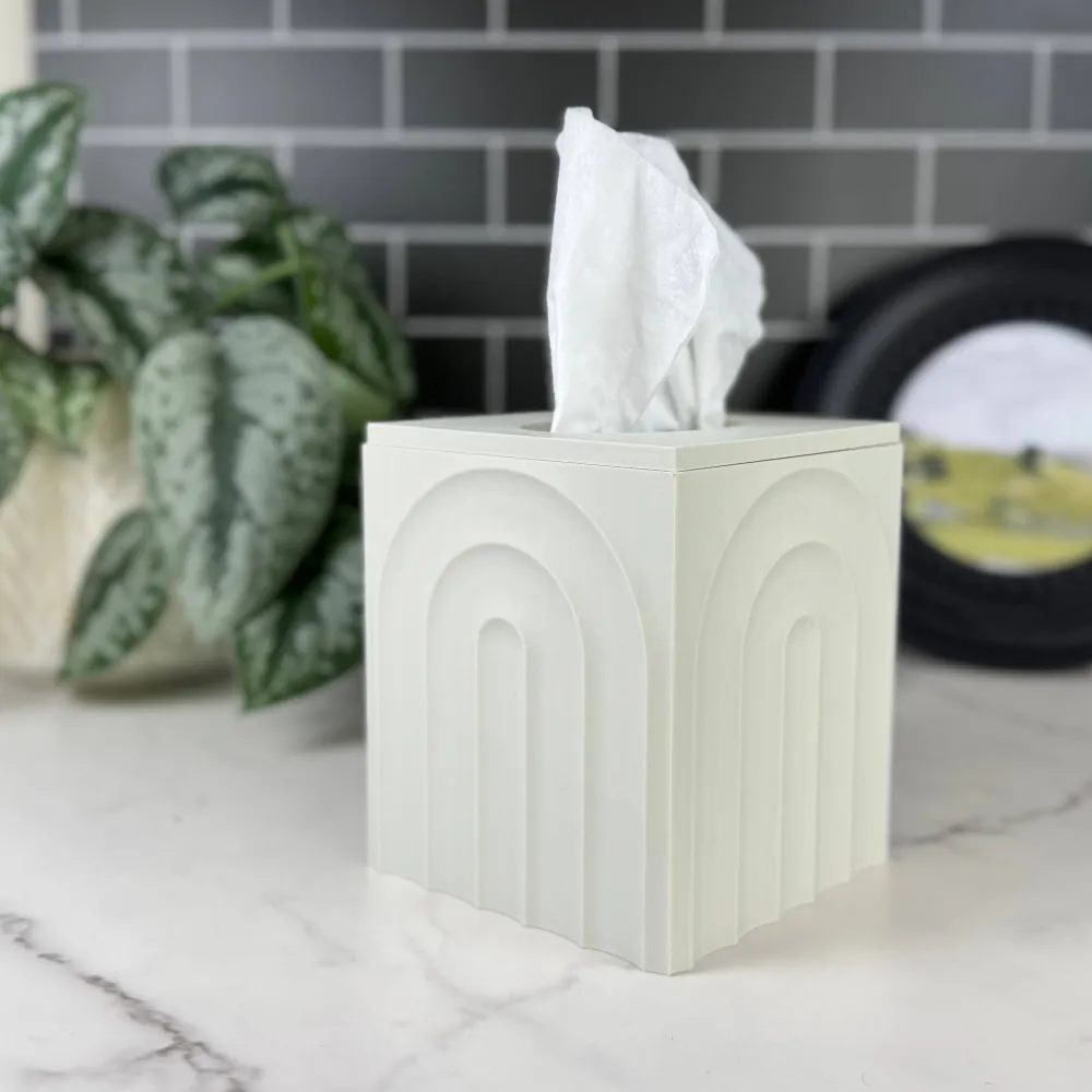 Natural Style Interior Piece Tissue Box