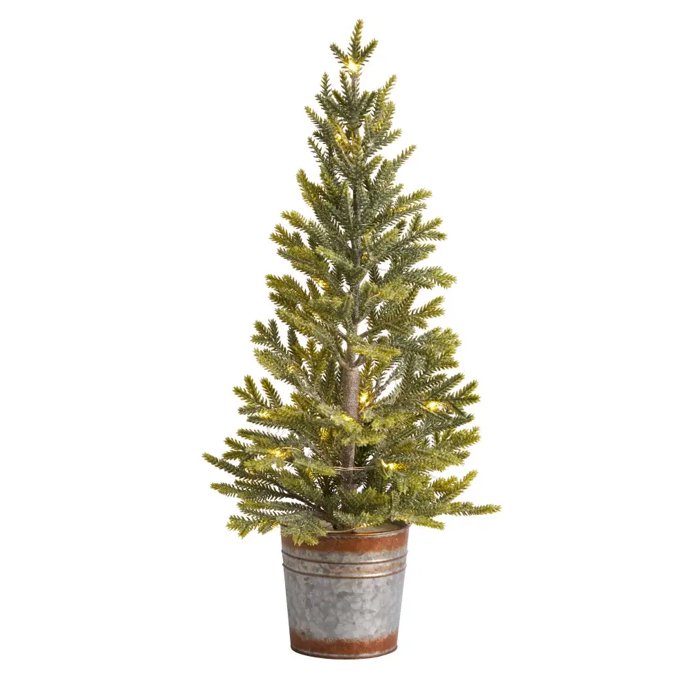 Pine 