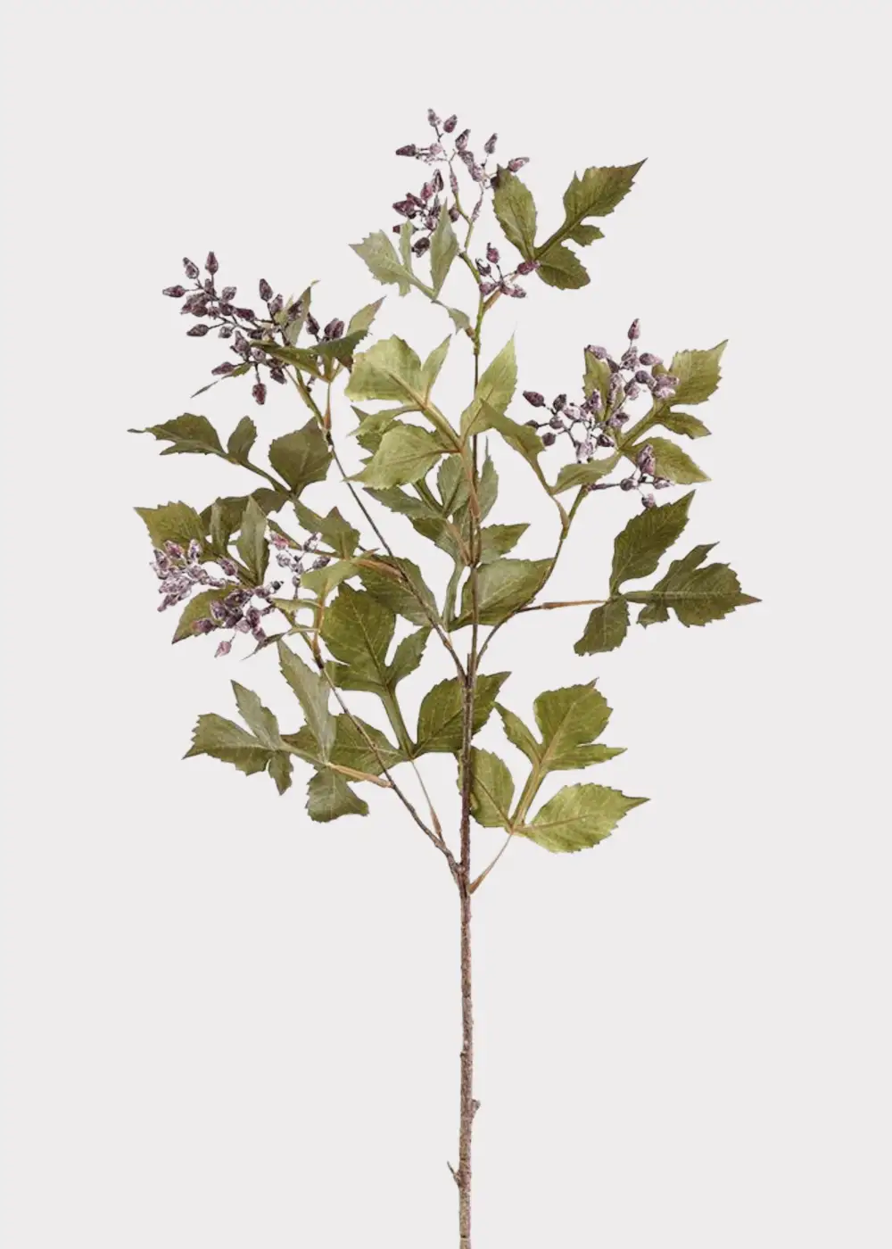 Artificial Seeded Ash Leaf Branch