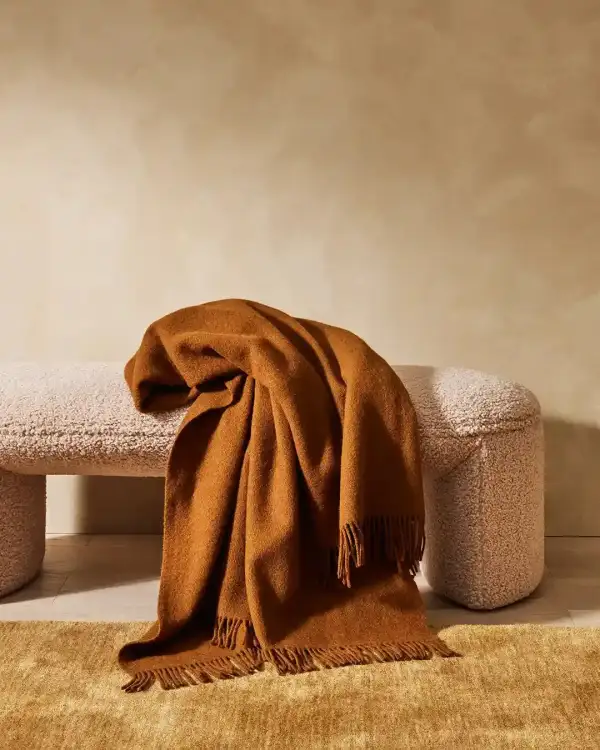 Wool Bordered Contemporary Versatile Area Rug