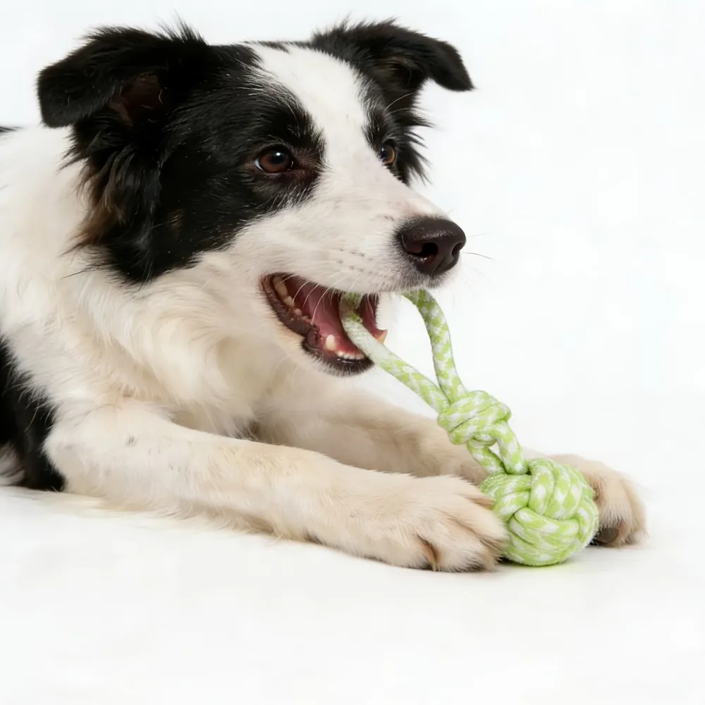Braided Dog Rope Toy