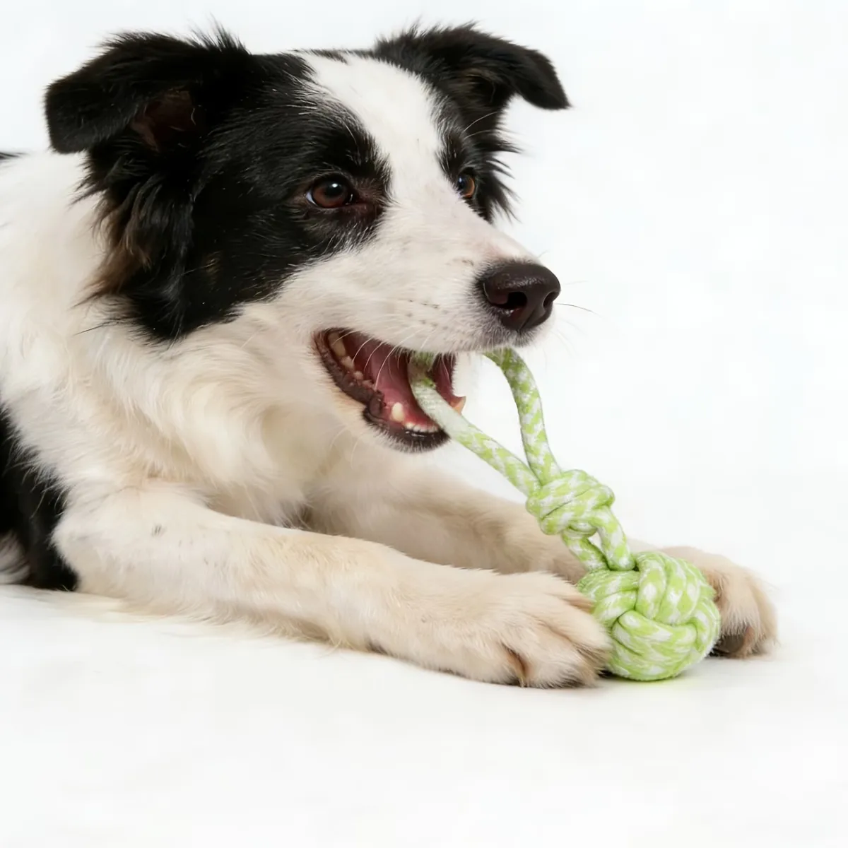 Braided Dog Rope Toy