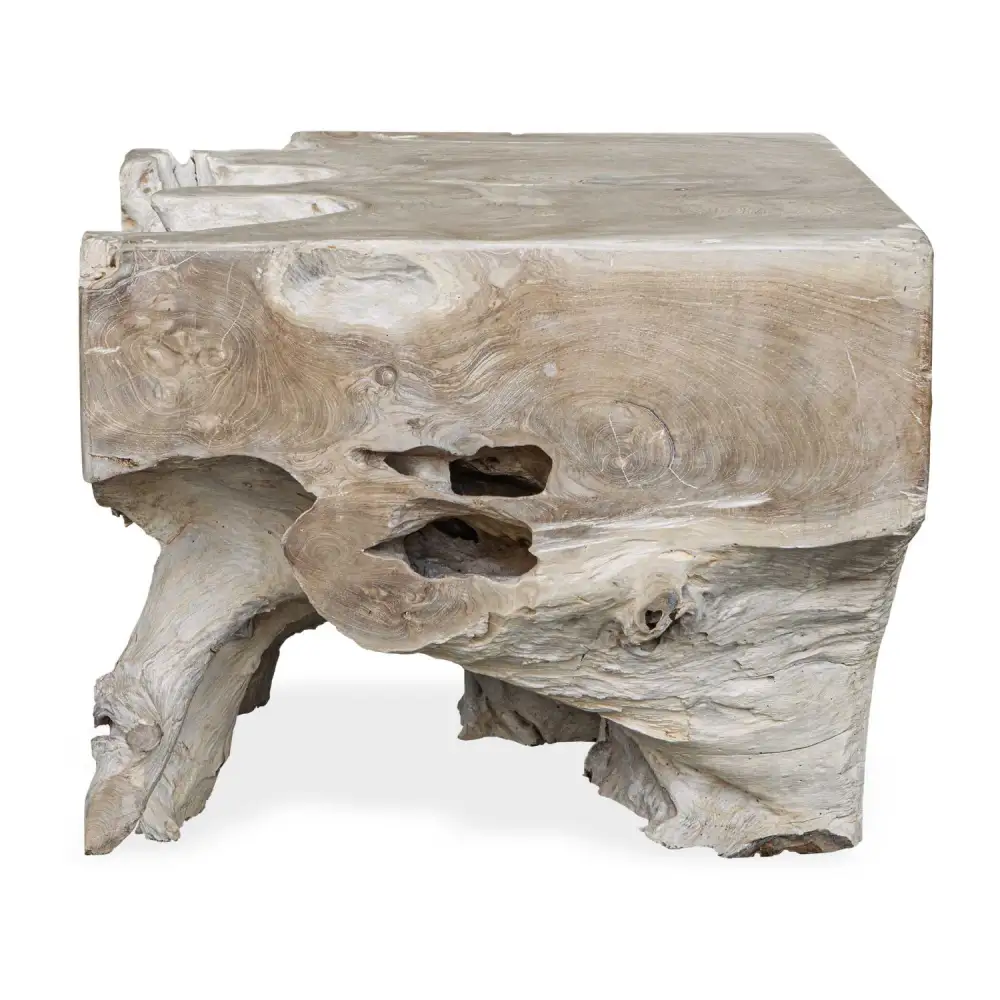 Root Indoor/outdoor Coffee Table