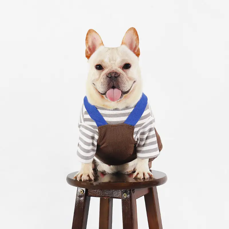 Everyday Pet Cookie Overalls
