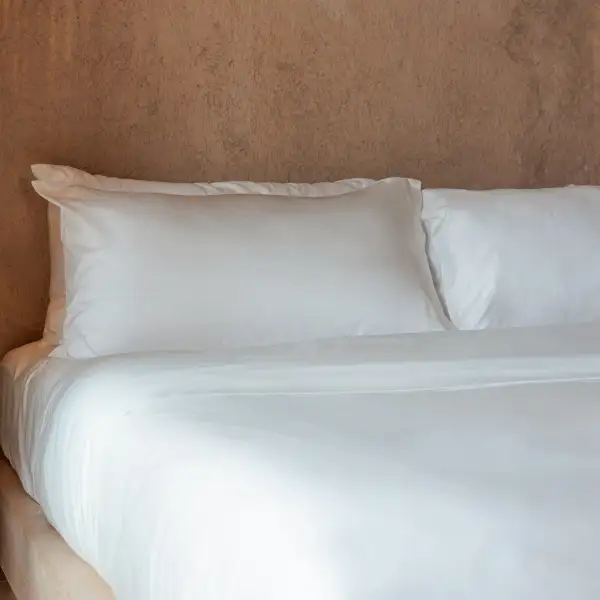 Cozy Cotton Sheet Bedding Set