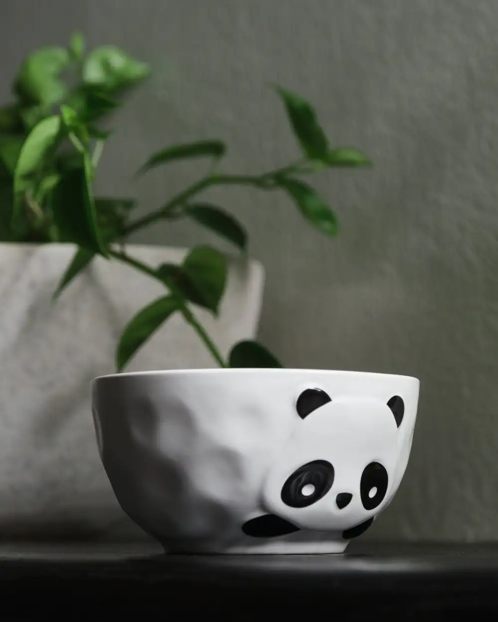 Everyday Animal-Motif Tableware Selection