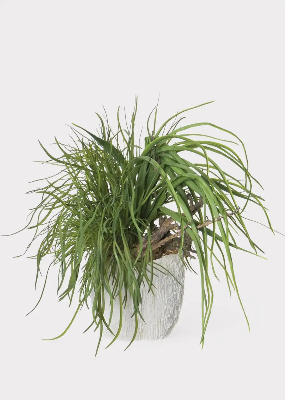 Artificial Potted Grass Driftwood Vase Arrangement