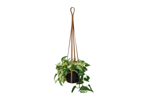 Elegant Living Space Decor Hanging Flower Pots