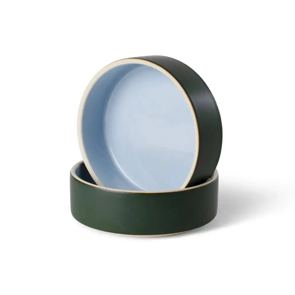 Daily Versatile Pet Bowl