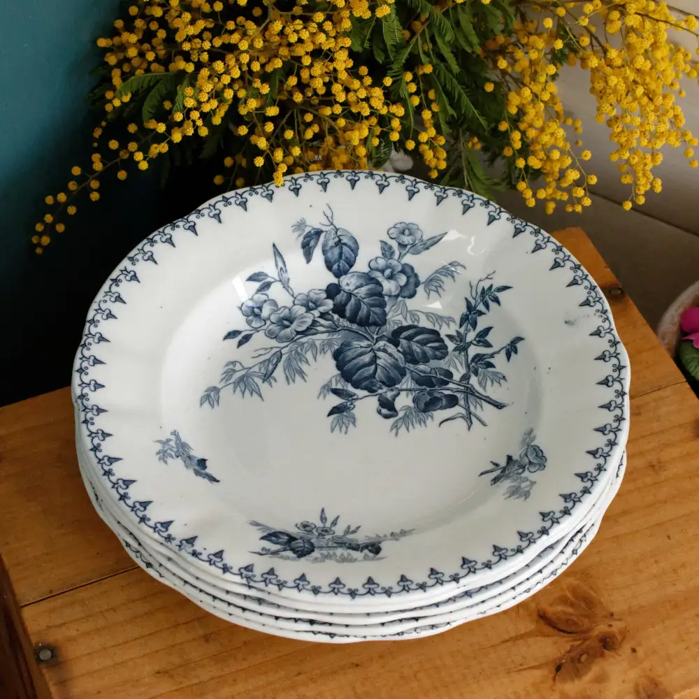 Distinctive Transferware Soup Plate