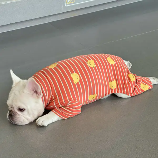 Soft Everyday Pet Bear Jumpsuit