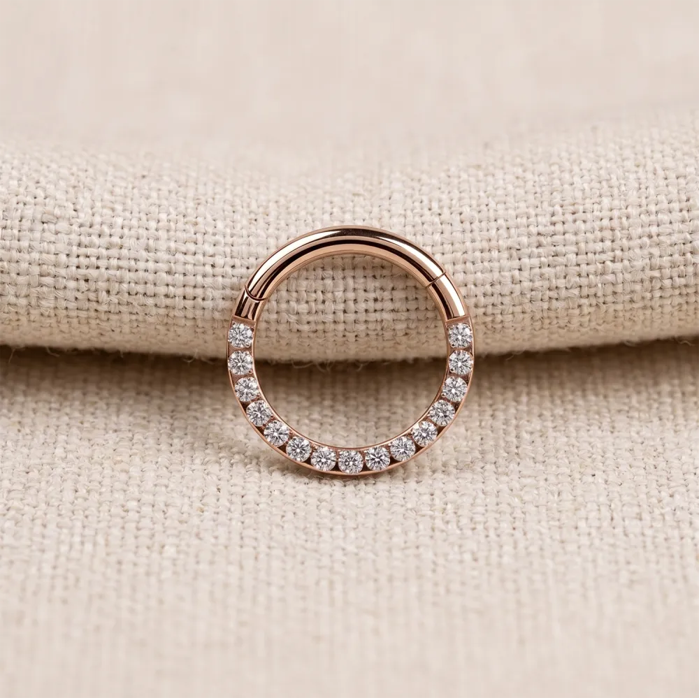 Elegant Titanium Hinged Hoop Ring