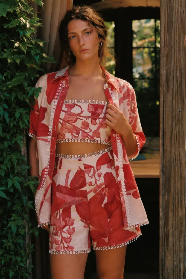 The Beatrice Set