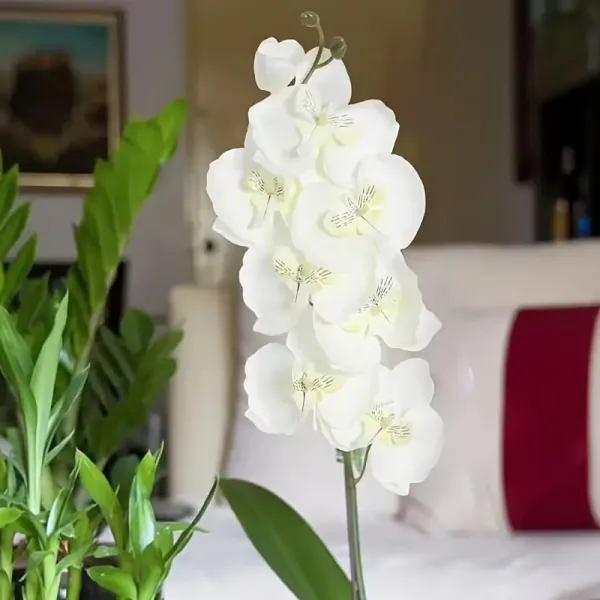3 Pcs Faux Phalaenopsis Arrangement
