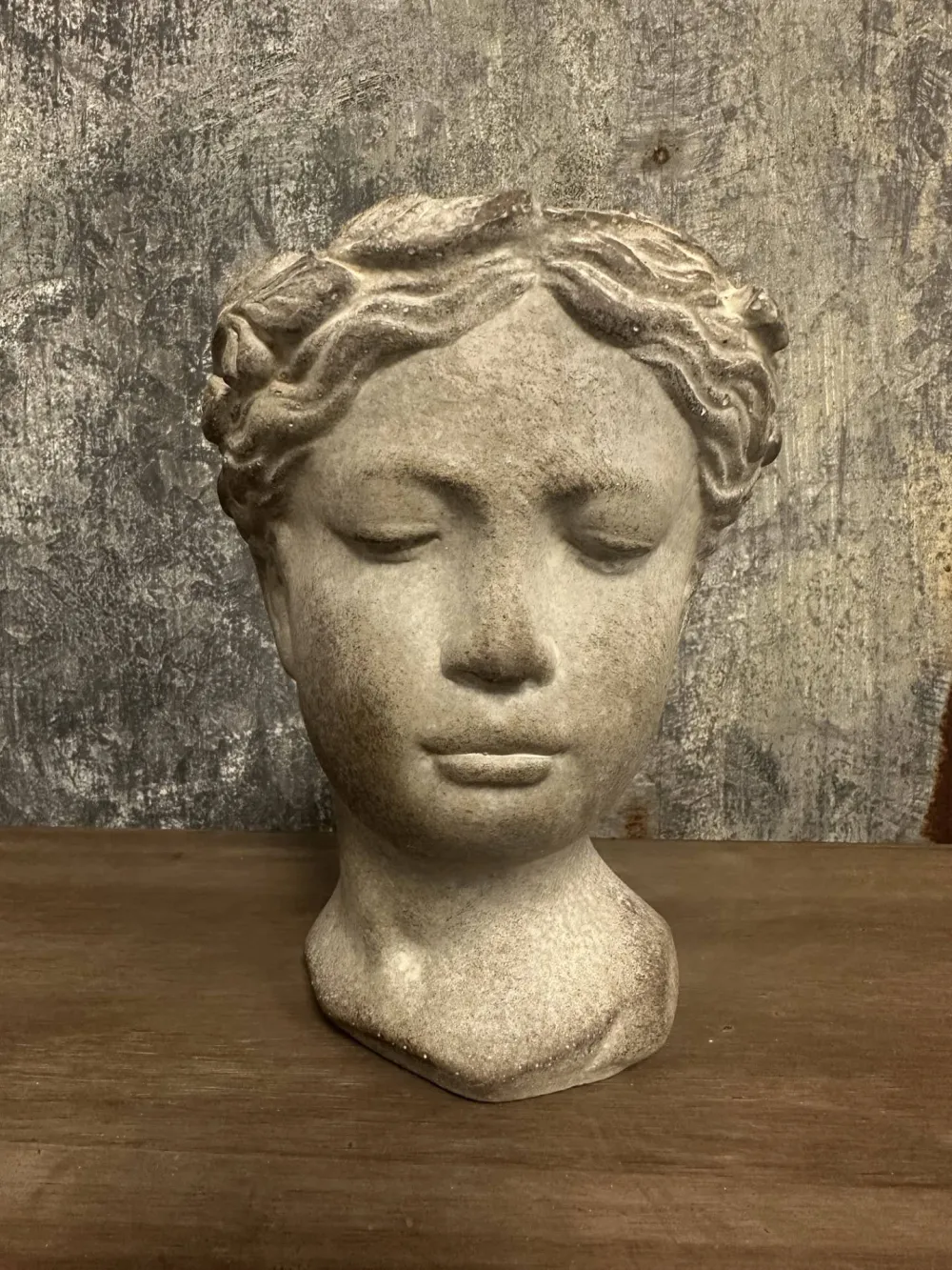 Cozy Room Decorative Accent Portrait Vase