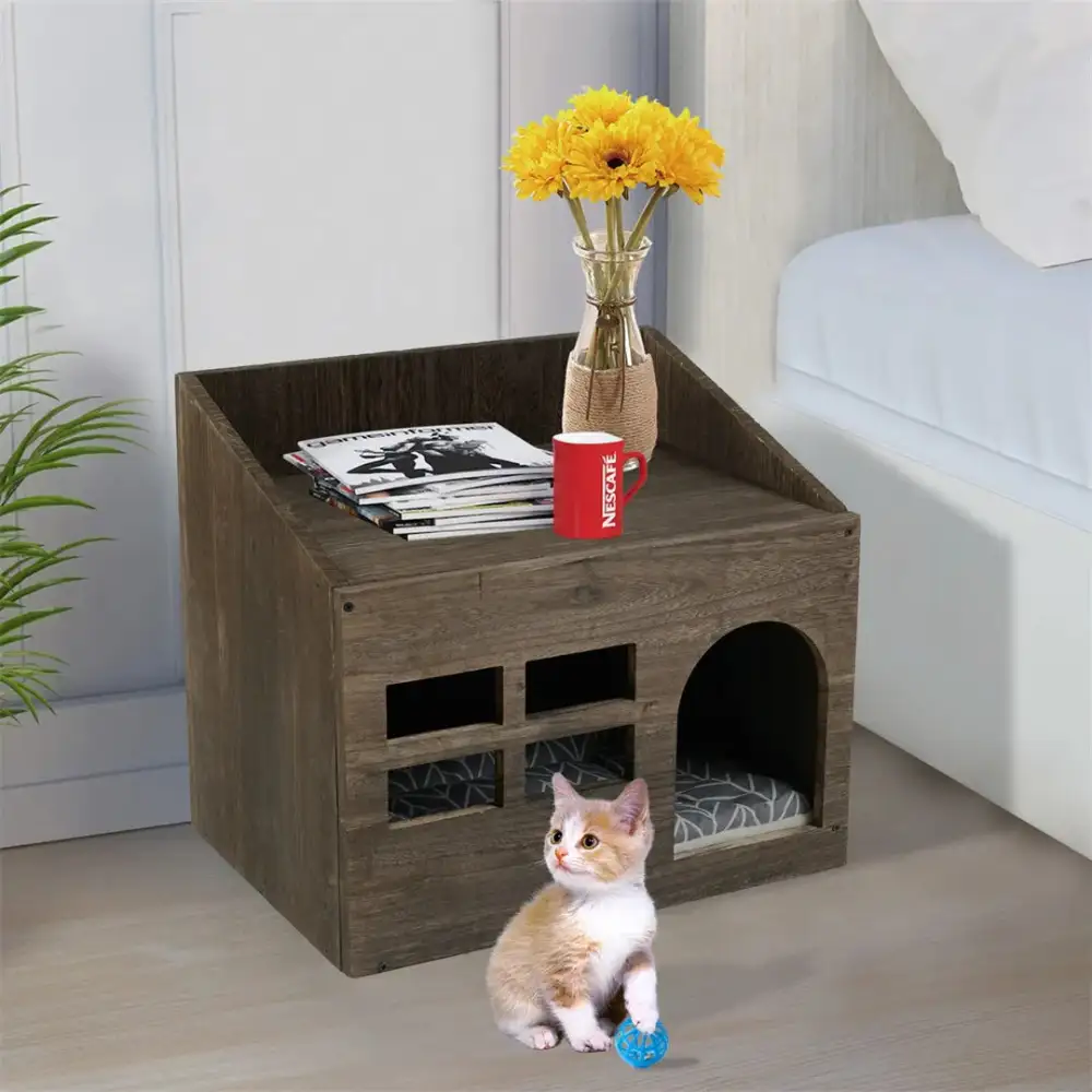 Clean Cat Litter Solution