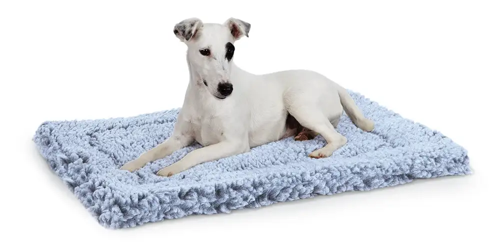 Round Playful Charming Pet Bed