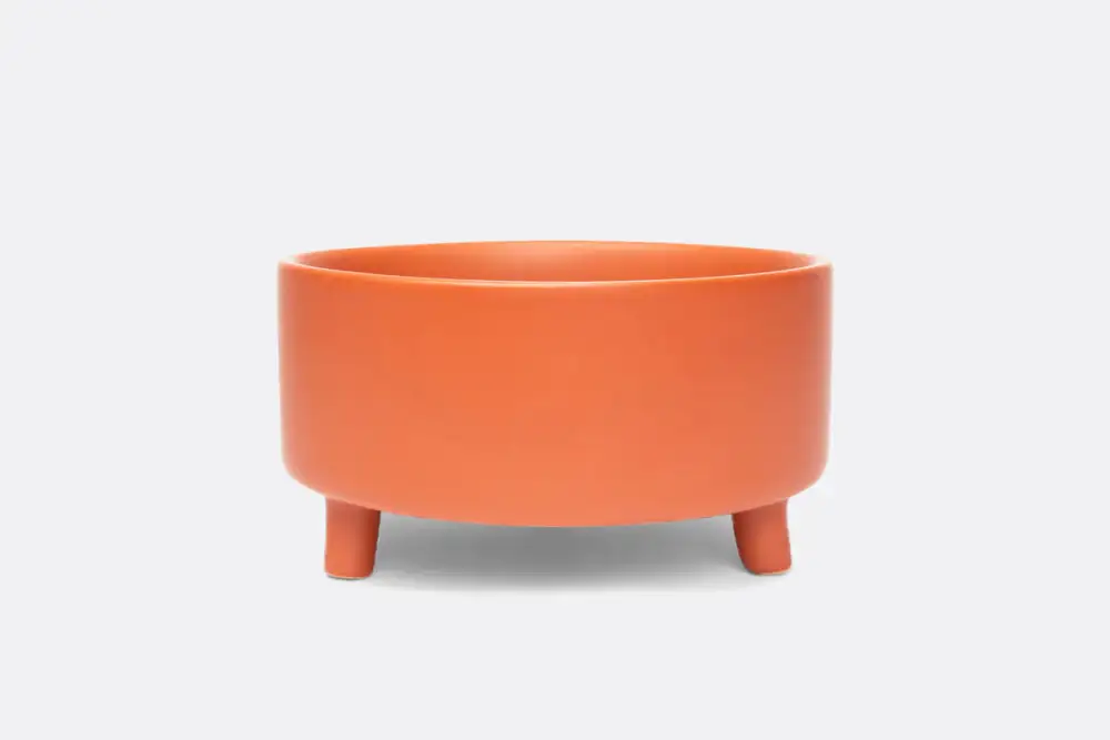 Footed Ceramic Dog Bowl