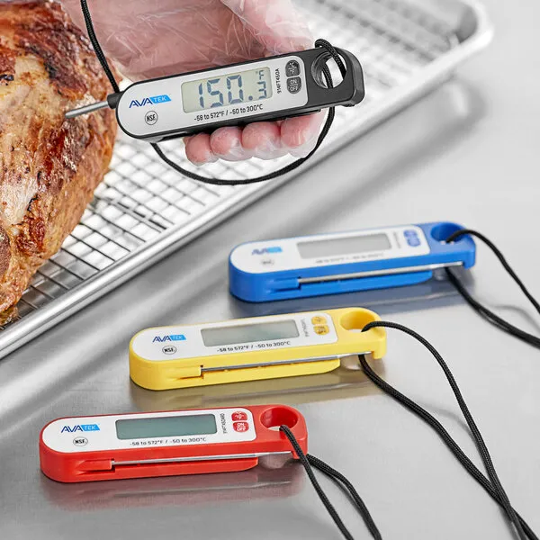 Digital Folding Probe Thermometer with Magnet