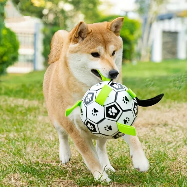 Dog Interactive Soccer Ball Toy