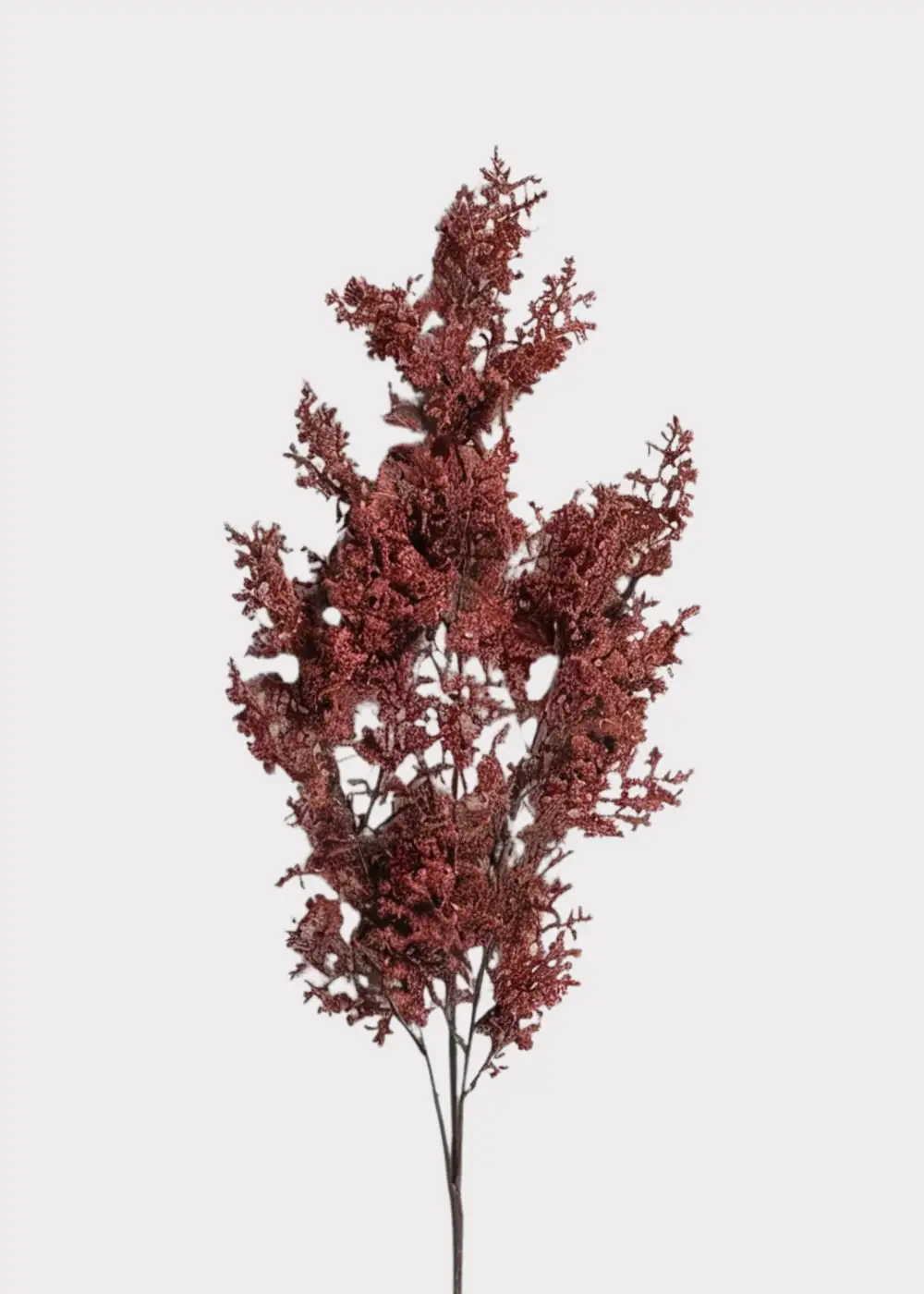 Artificial Caspia Branch