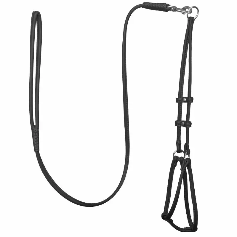 Adjustable Casual Modern Dog Harness