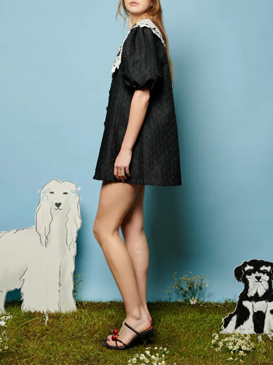 Bow Collar Dress