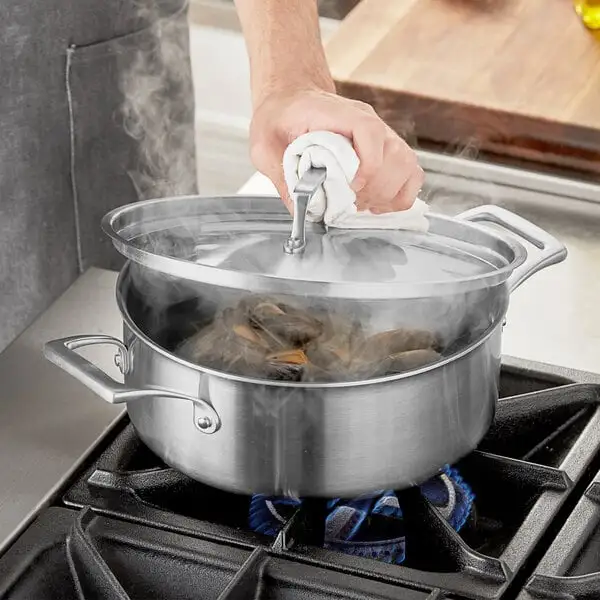 Compact Tri Ply Stainless Steel Stock Pot with Cover