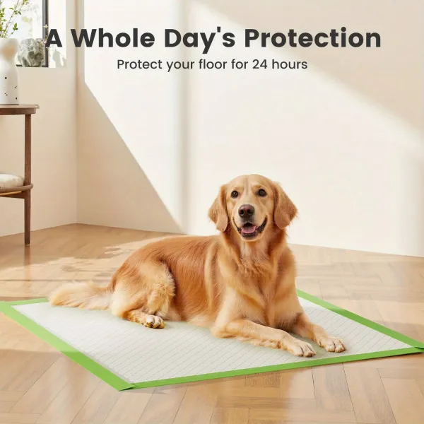 Super Absorbent Pet Pads