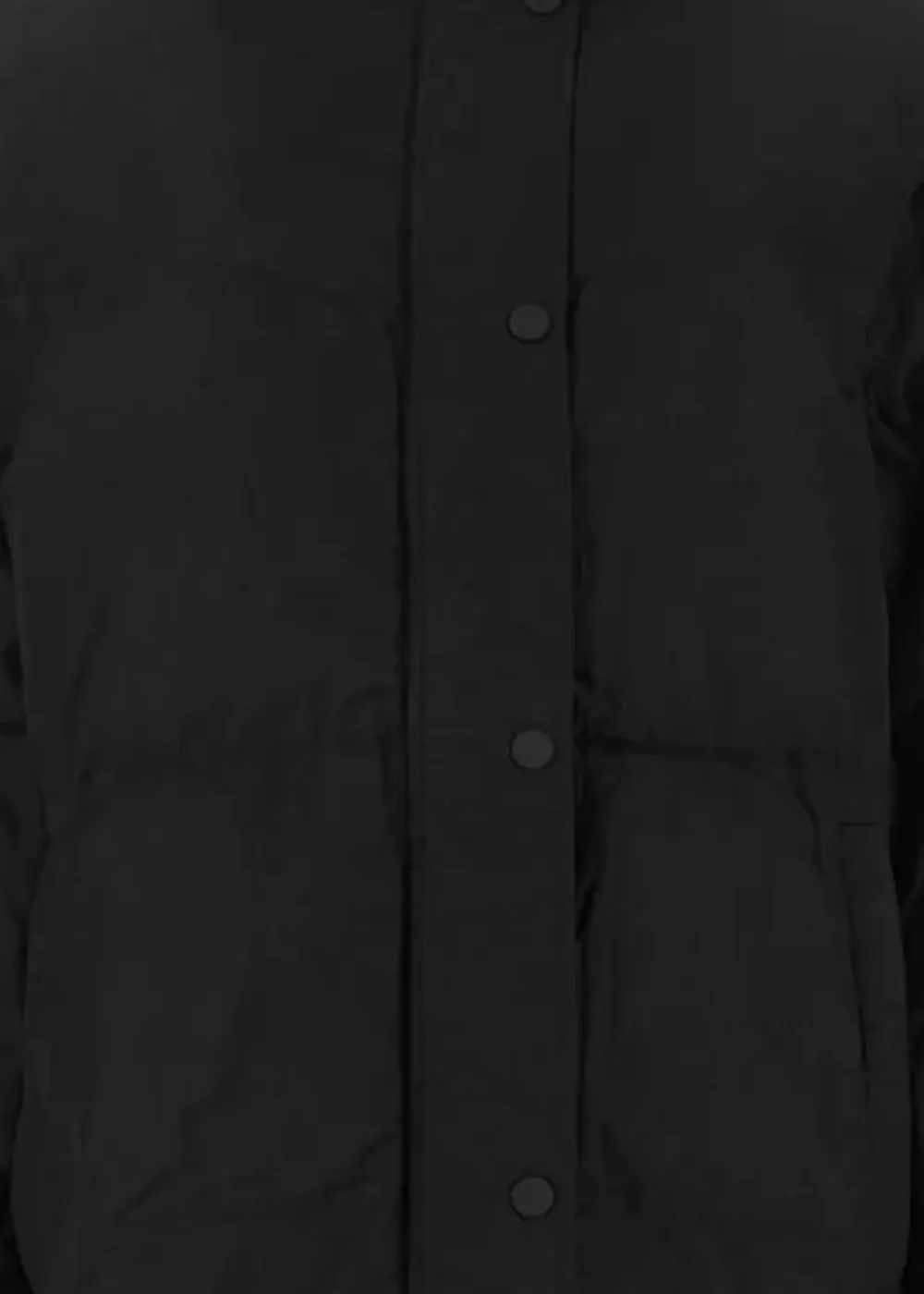 High Neck Coat