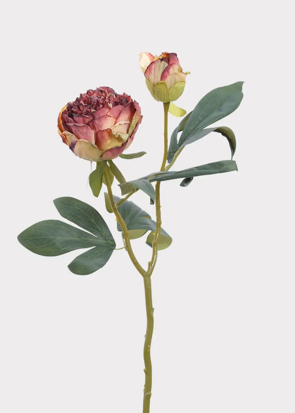 Artificial Petite Peony Floral Stem
