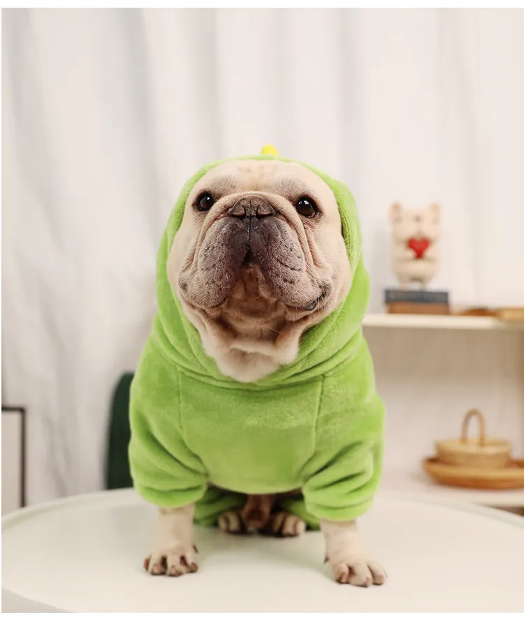 Classic Warm Dinosaur Jumpsuit Costume