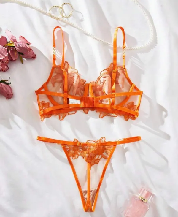 Embroidered Mesh Underwire Lingerie Set