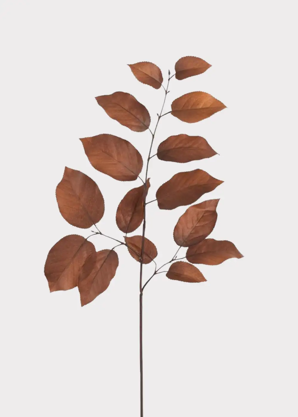 Artificial Salal Leaf Branch In Autumn