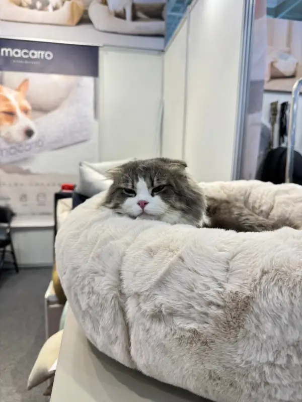 Round Plush Pet Lounge Bed