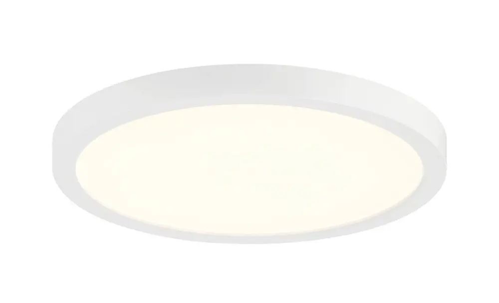 Artful Contemporary LED Outdoor Ceiling Light