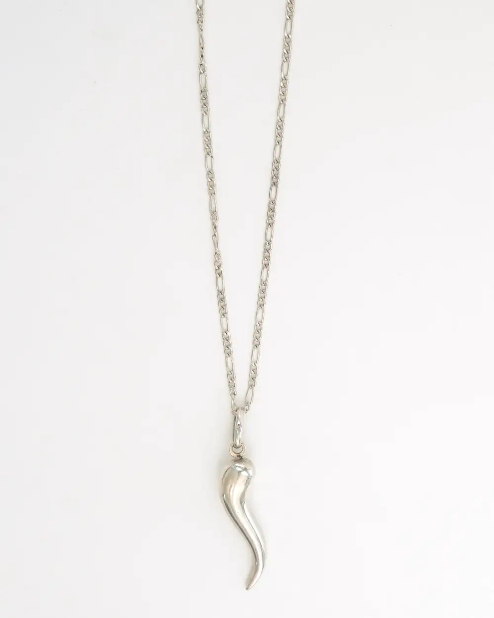 Classic Chain Necklace with Horn Charm