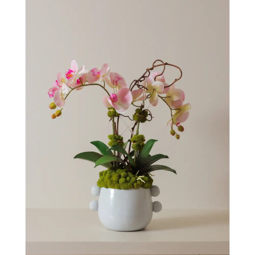 Orchid Willow Pot Arrangement